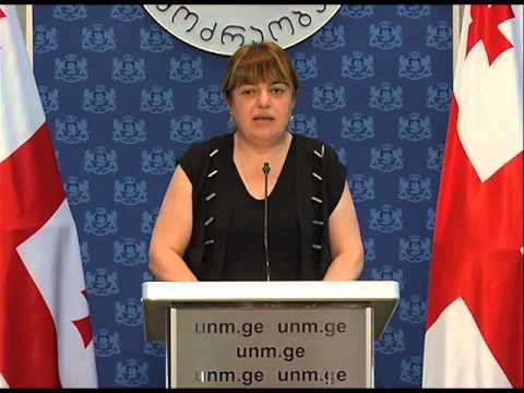 ხათუნა გოგორიშვილის ბრიფინგი 06/06/2014